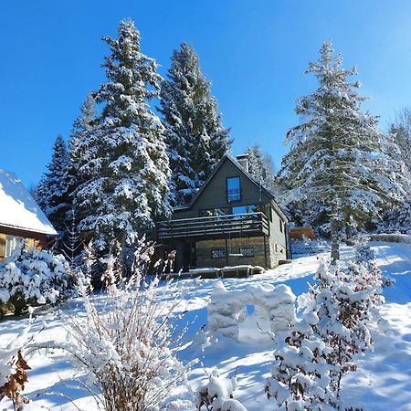 Chata 100 Český Jiřetín Exteriör bild