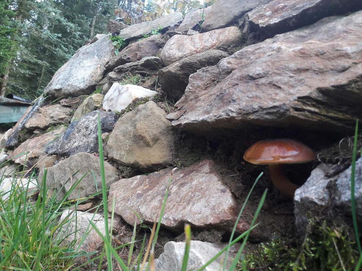 Chata 100 Český Jiřetín Exteriör bild